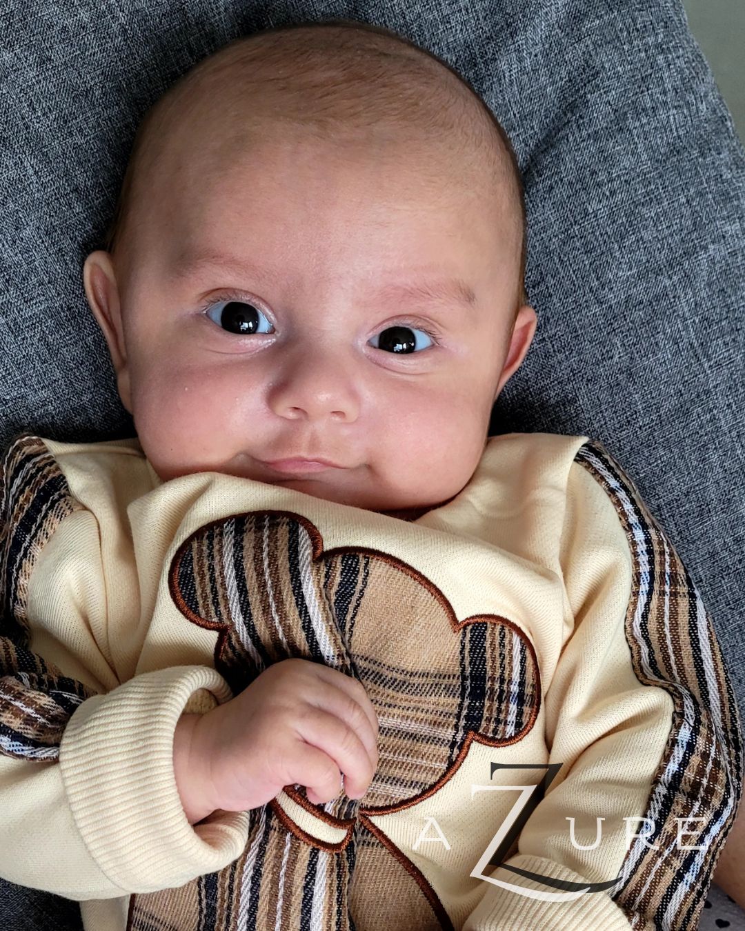 COLEÇÃO MEU URSINHO